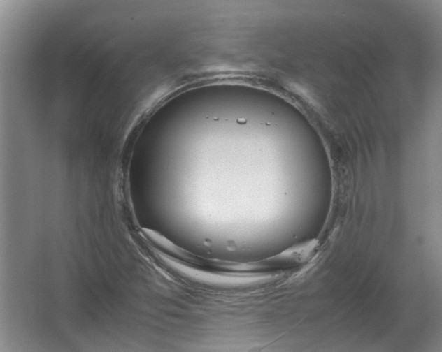 X0000067521357200604150149