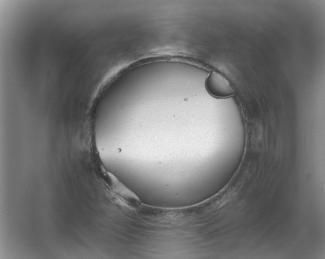 X0000067521358200604150149