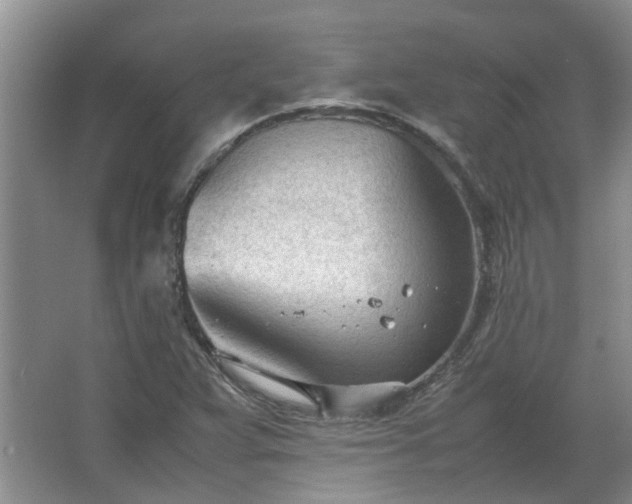 X0000067521359200604150149