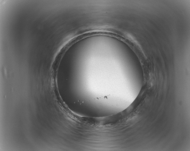 X0000067521360200604150149