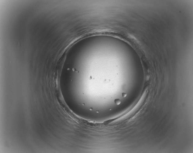 X0000067521361200604150149