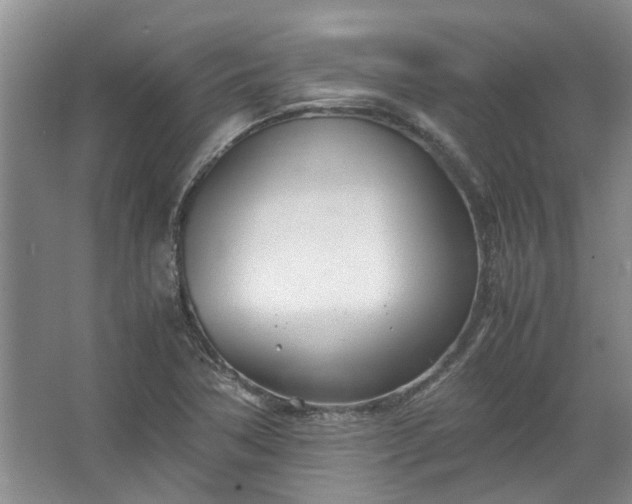 X0000067521362200604150149