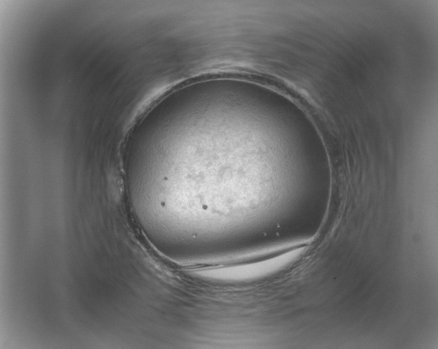 X0000067521363200604150149