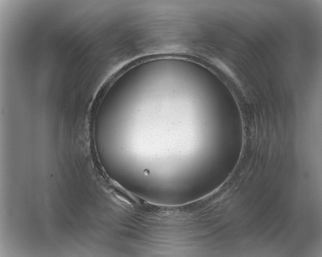 X0000067521364200604150149