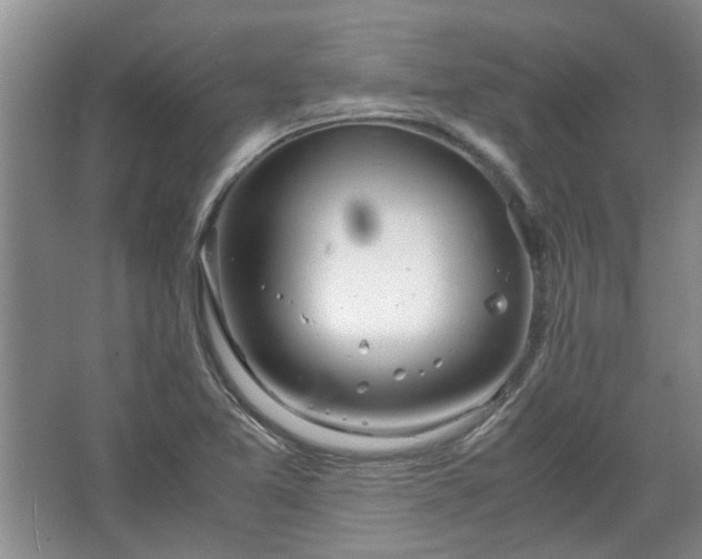 X0000067521365200604150149