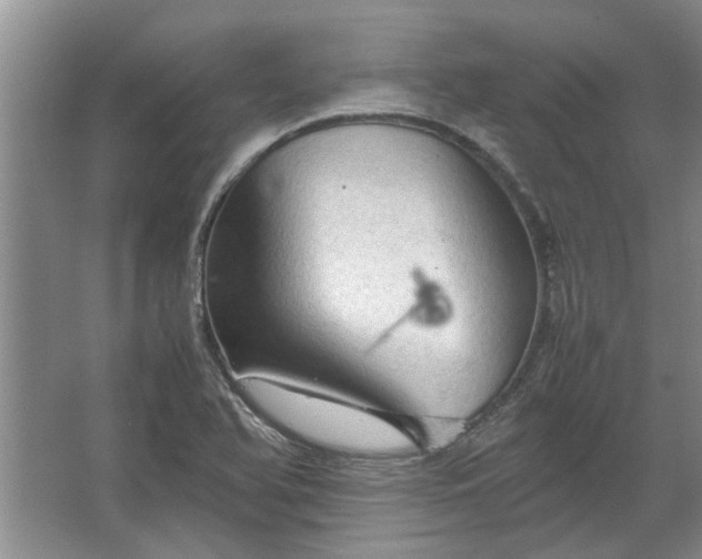 X0000067521366200604150149