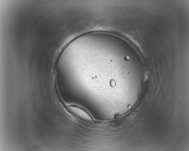 X0000067521367200604150149