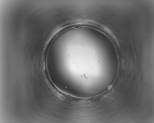 X0000067521368200604150149