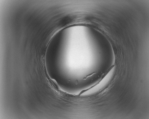 X0000067521369200604150149