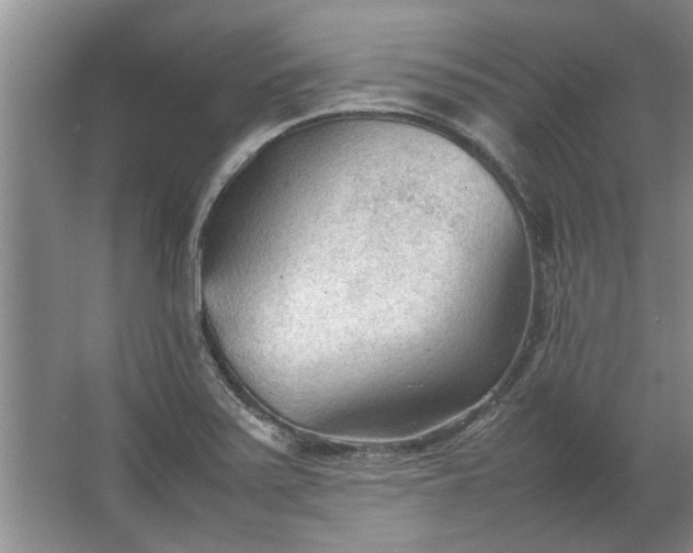 X0000067521371200604150149