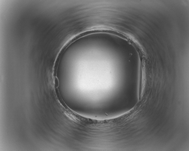 X0000067521372200604150149