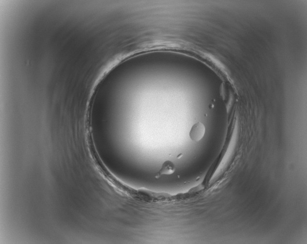 X0000067521373200604150149