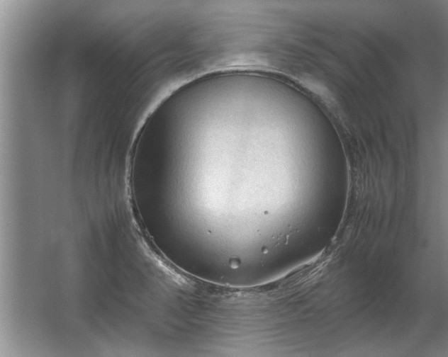 X0000067521374200604150149