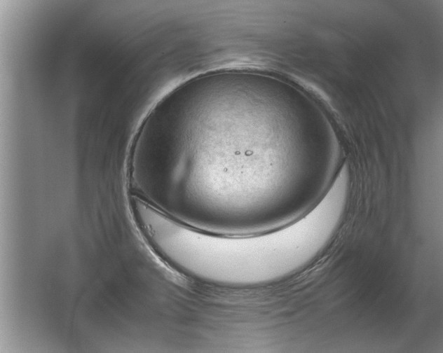 X0000067521375200604150149