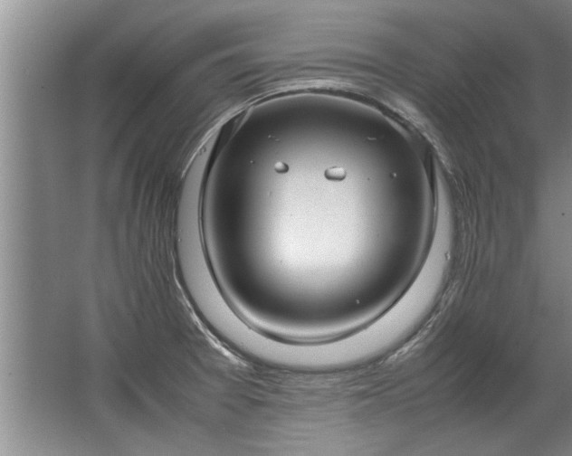 X0000067521377200604150149