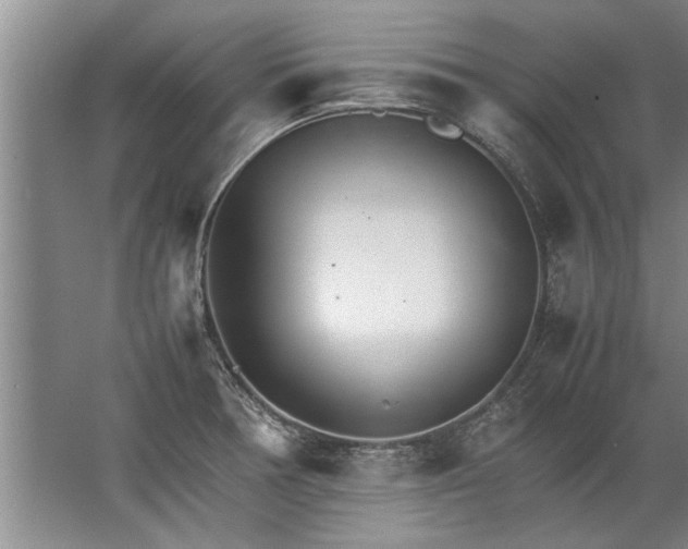 X0000067521378200604150149