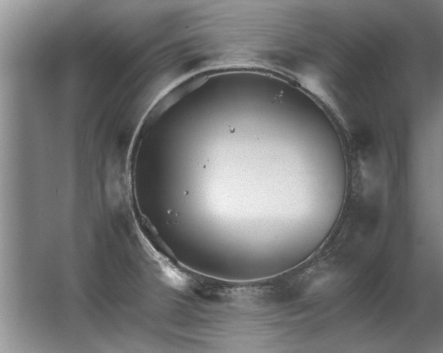 X0000067521380200604150149