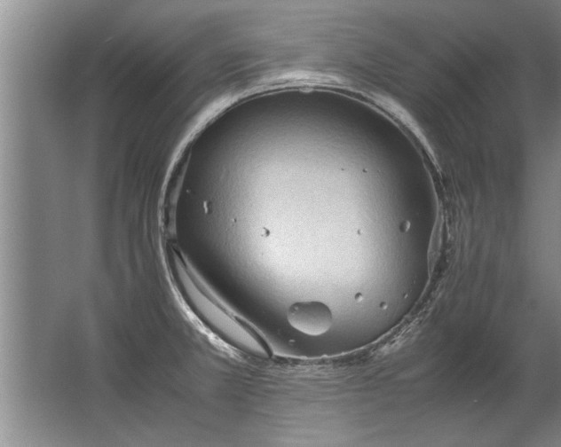 X0000067521381200604150149