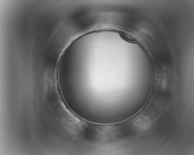 X0000067521382200604150149