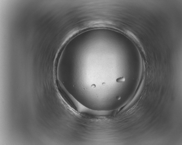 X0000067521384200604150148