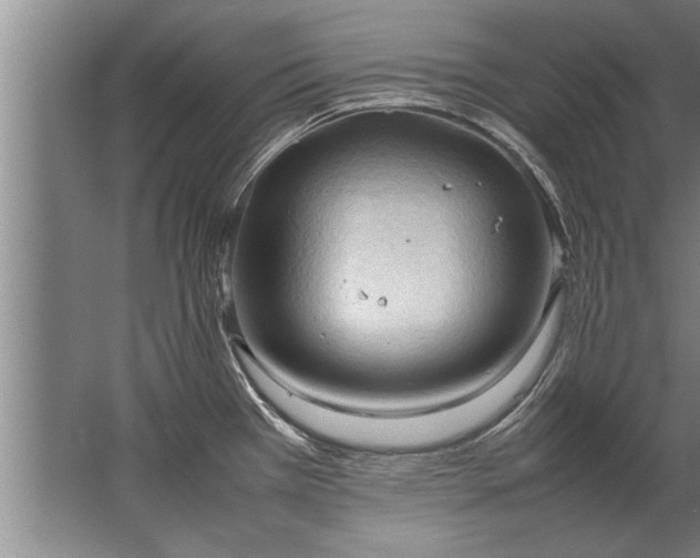 X0000067521385200604150148