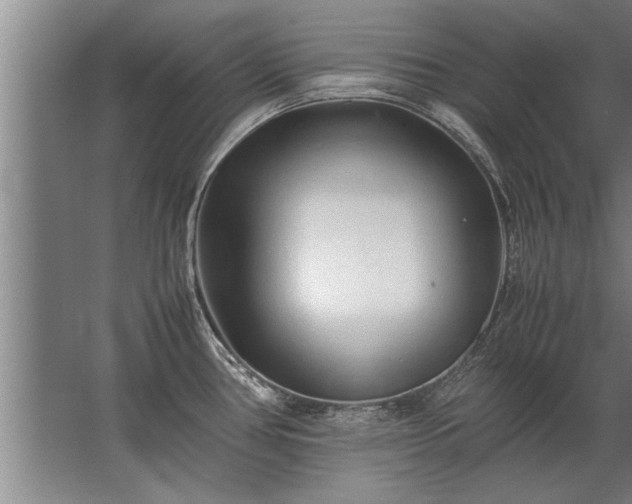 X0000067521386200604150148