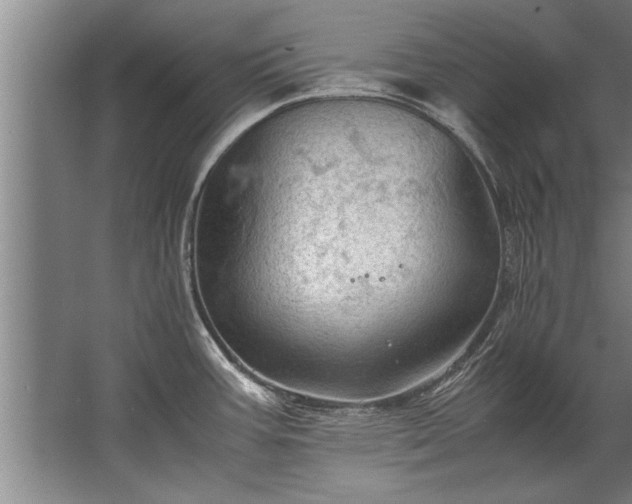 X0000067521387200604150148