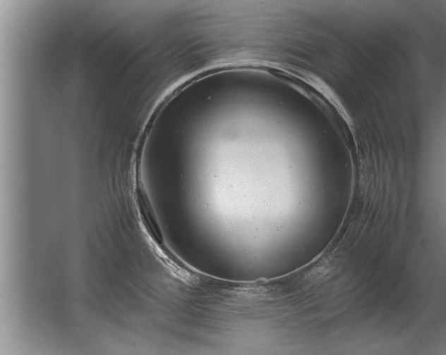 X0000067521388200604150148