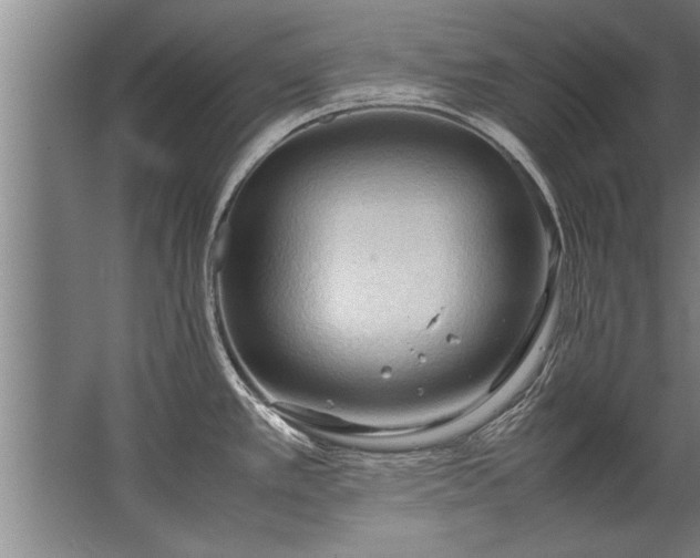 X0000067521389200604150148