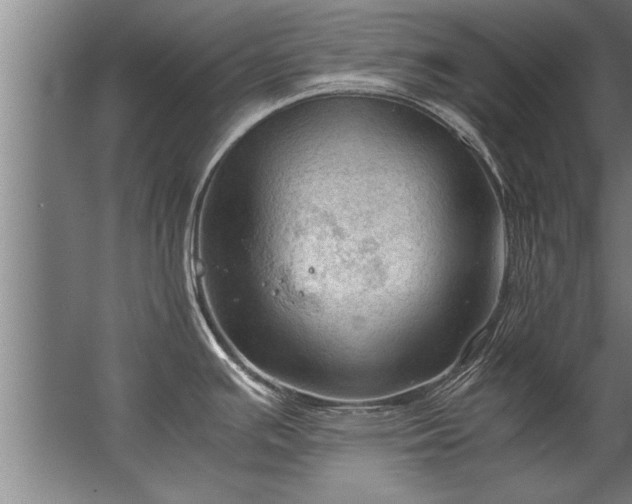 X0000067521391200604150148