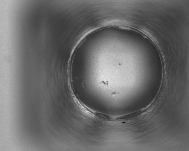 X0000067521392200604150148