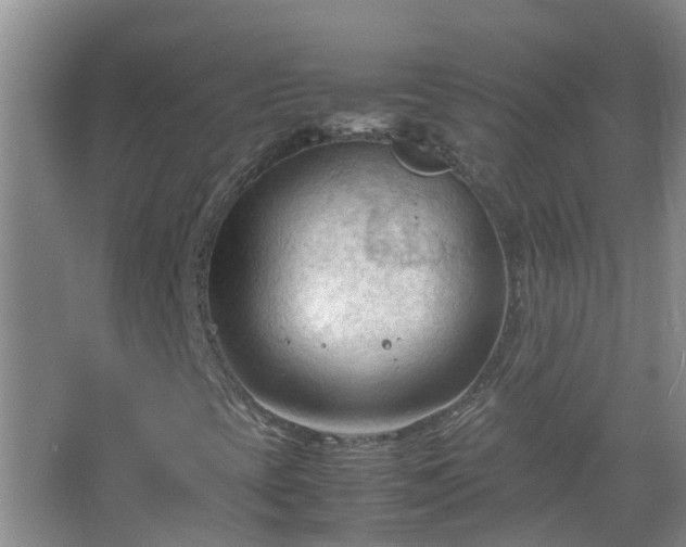 X0000067521393200604150148