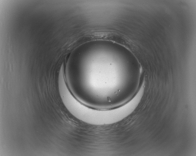 X0000067521394200604150148