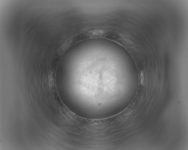 X0000067521395200604150148