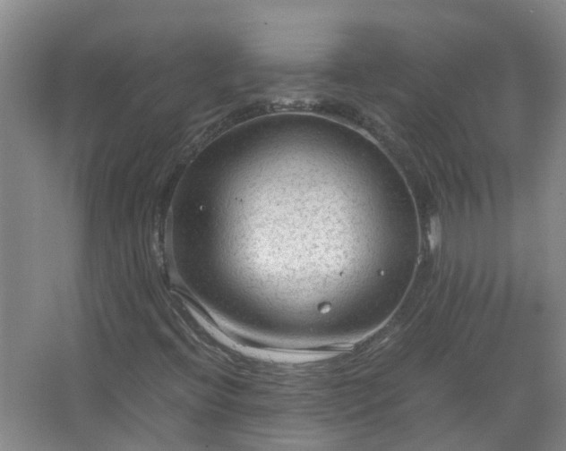 X0000067521396200604150148