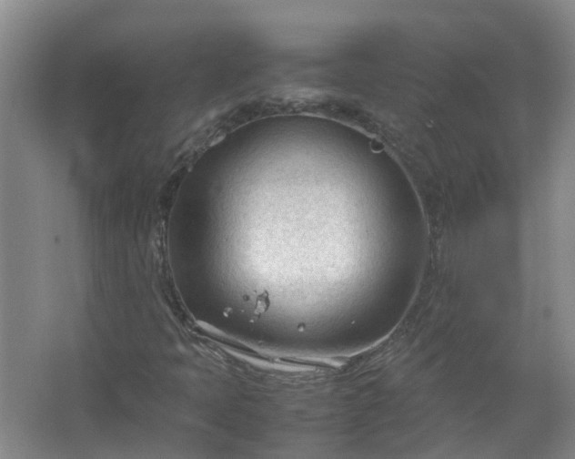 X0000067521397200604150148