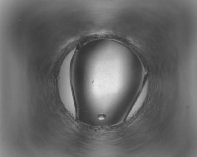 X0000067521398200604150148