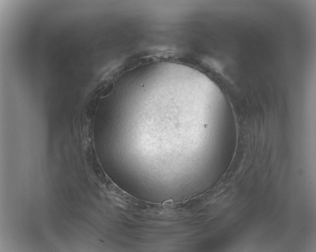 X0000067521399200604150148