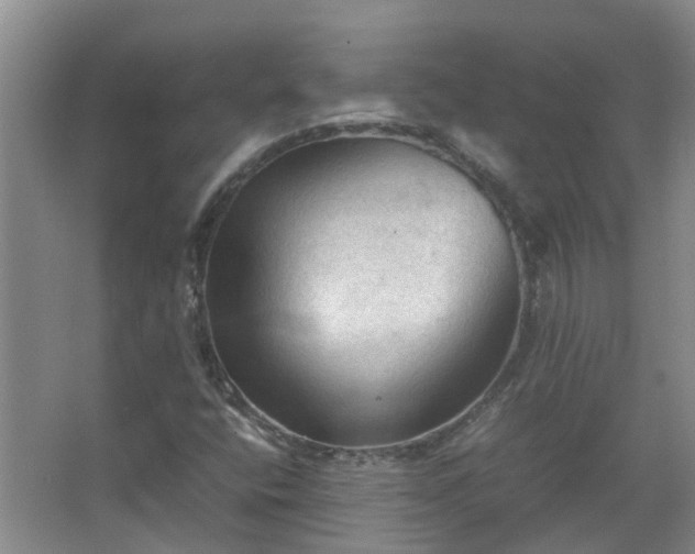 X0000067521400200604150148