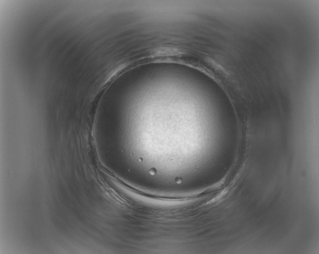 X0000067521401200604150148