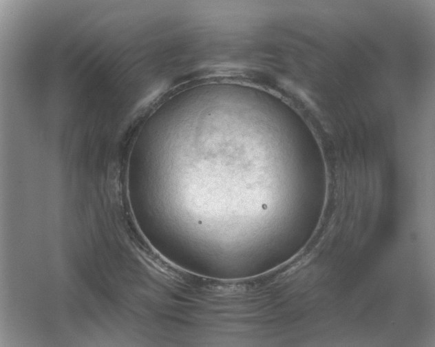 X0000067521403200604150148