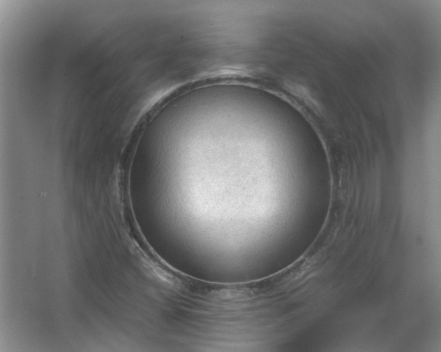 X0000067521404200604150148