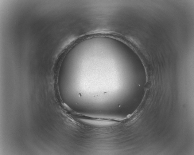 X0000067521406200604150148