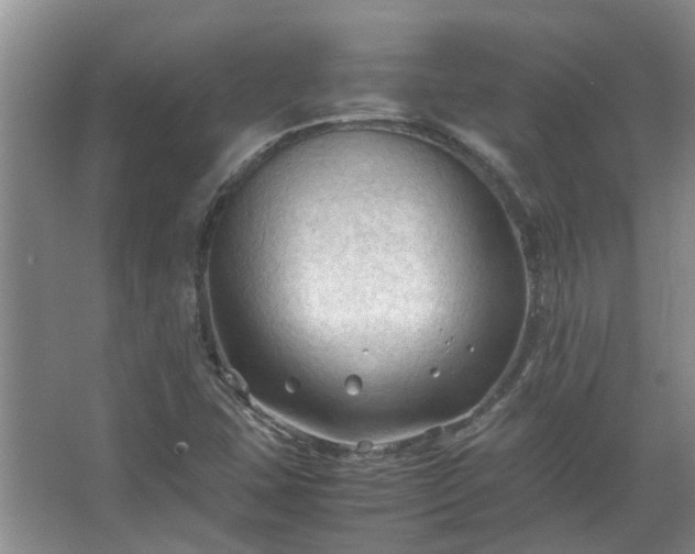 X0000067521407200604150148