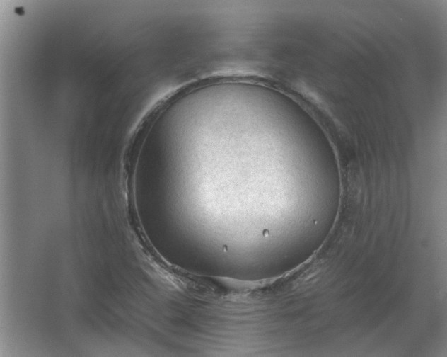 X0000067521408200604150148