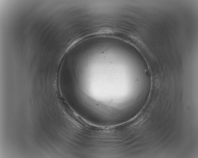 X0000067521409200604150148