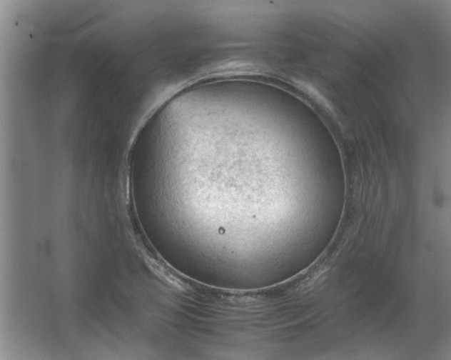 X0000067521413200604150148