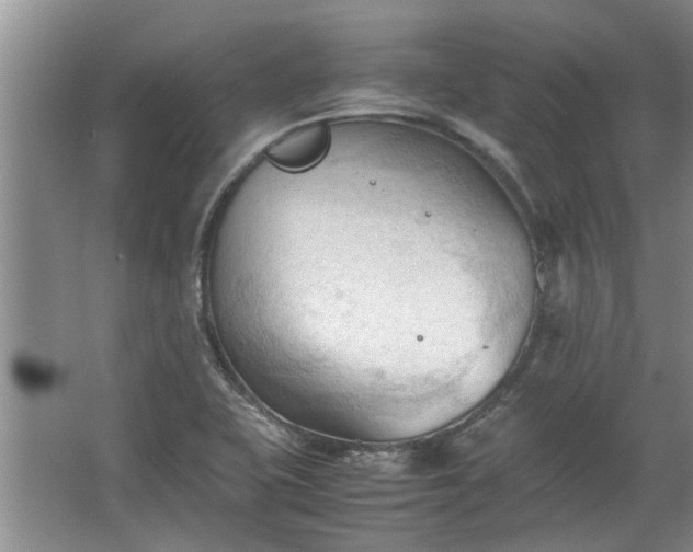 X0000067521415200604150148