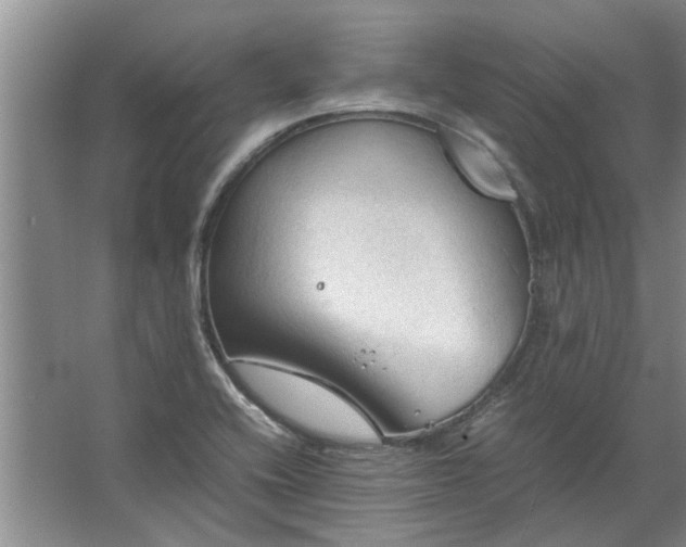 X0000067521416200604150148