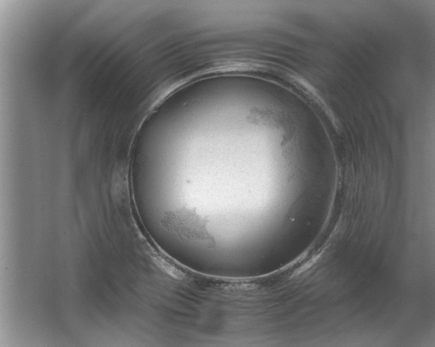 X0000067521417200604150148